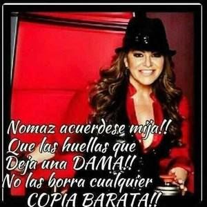 Meet your Posher, Rosa